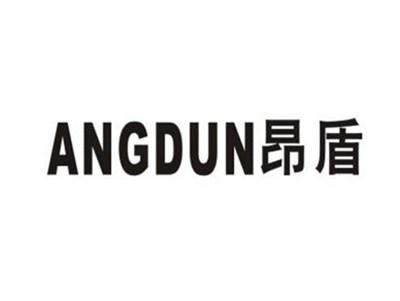 昂盾