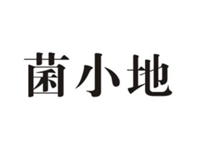 菌小地