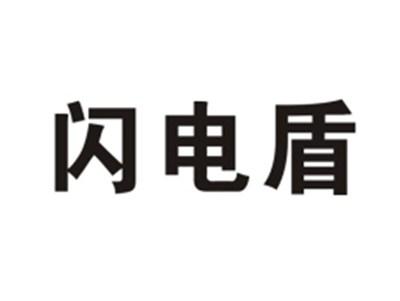 闪电盾