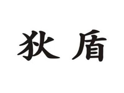 狄盾