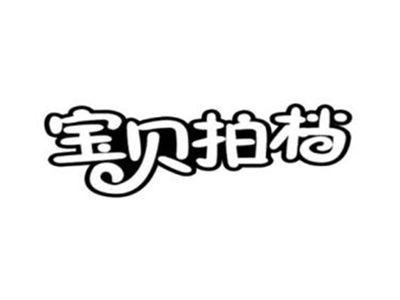 宝贝拍档