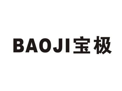 宝极