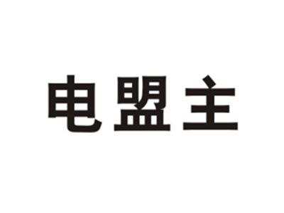 电盟主