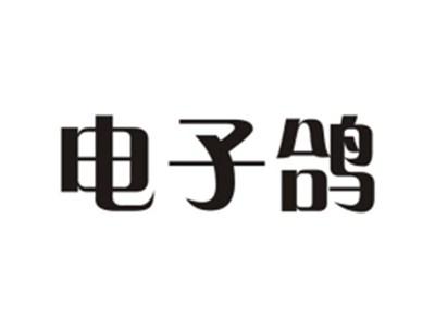 电子鸽