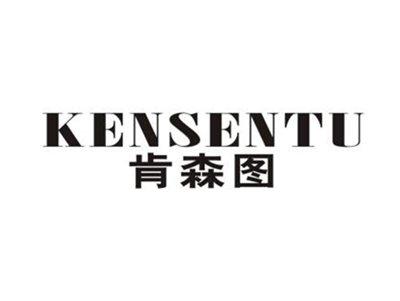 肯森图