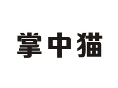 掌中猫