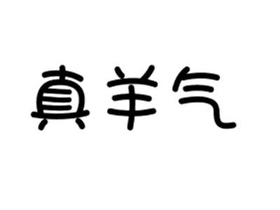 真羊气