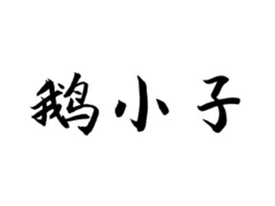 鹅小子
