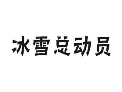 冰雪总动员