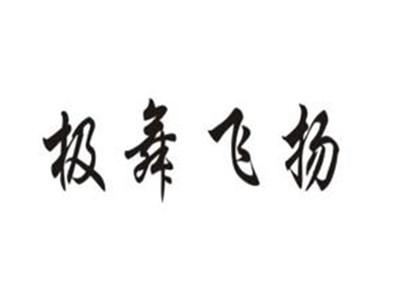 极舞飞扬