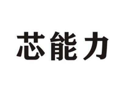 芯能力