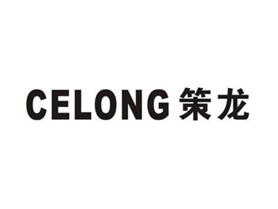 策龙