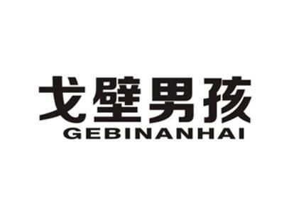 戈壁男孩