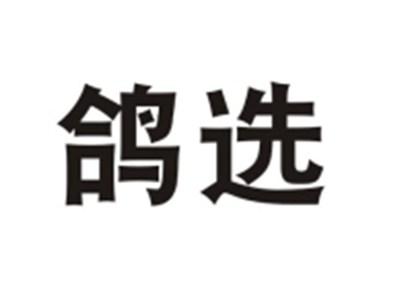 鸽选