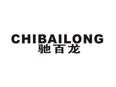 驰百龙