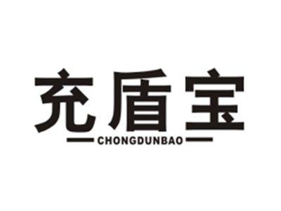 充盾宝