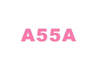 A55A