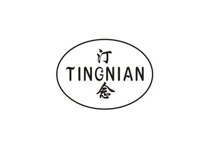 汀念