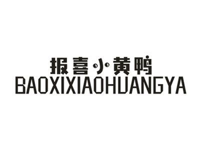报喜小黄鸭