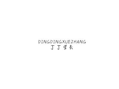 丁丁学长