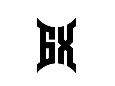 6X