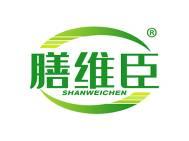 膳维臣