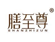 膳至尊