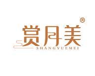 赏月美