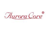 AuroraCore（极光之心）