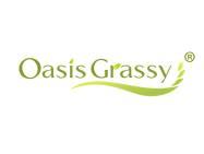 OASISGRASSY（绿洲之萃）