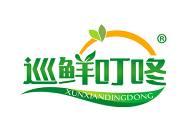 巡鲜叮咚