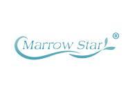 MarrowStar(精粹之星）