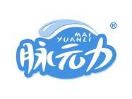 脉元力