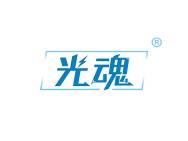 光魂