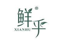鲜乎