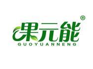 果元能