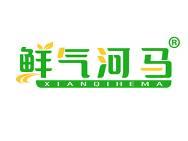 鲜气河马