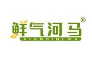 鲜气河马