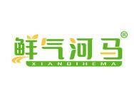 鲜气河马