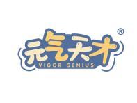 元气天才VIGORGENIUS