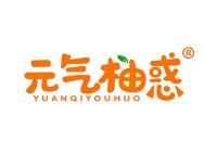 元气柚惑