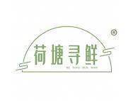 荷塘寻鲜