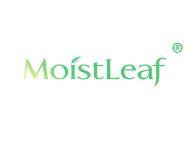 MoistLeaf滋润的叶子