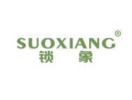 锁象
