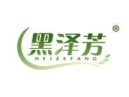 黑泽芳