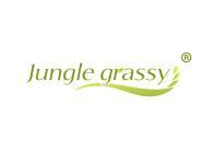 Junglegrassy（丛林之萃）