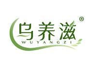 乌养滋