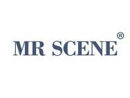 MRSCENE上镜先生
