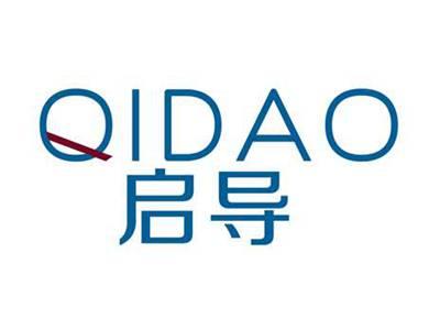 启导