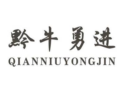 黔牛勇进